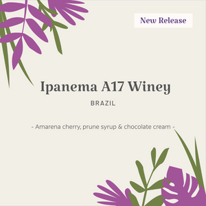 Brazil | Ipanema A17 Winey