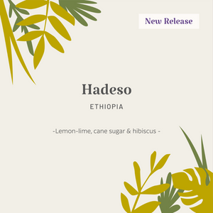 Ethiopia | Hadeso