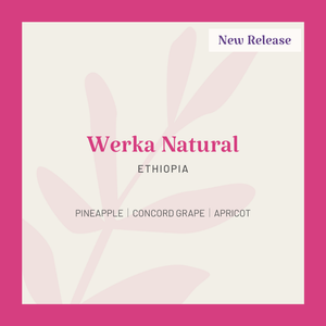 Ethiopia Werka Natural