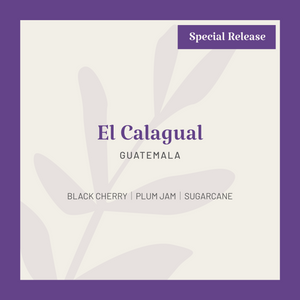 Guatemala El Calagual