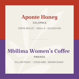 Espresso Selection Bundle