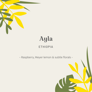Ethiopia | Ayla