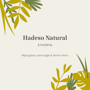 Ethiopia | Hadeso Natural