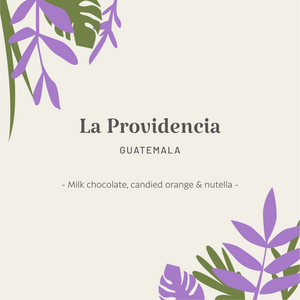 Guatemala | La Providencia