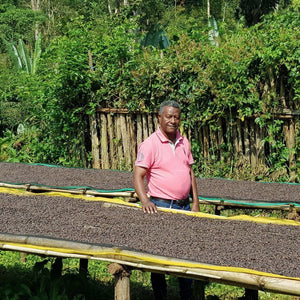 Ethiopia | Amederaro Konga