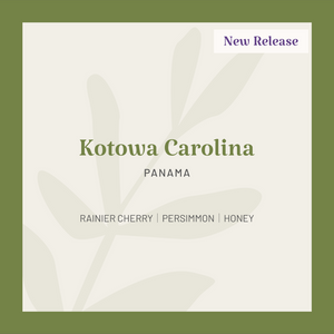 Panama | Kotowa Carolina