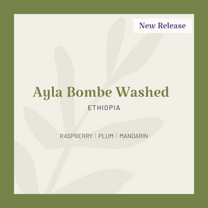 Ethiopia | Ayla Bombe Washed