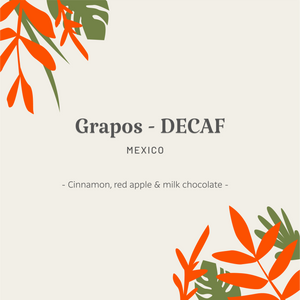 Mexico | Grapos - DECAF