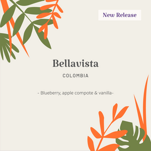 Colombia | Bellavista