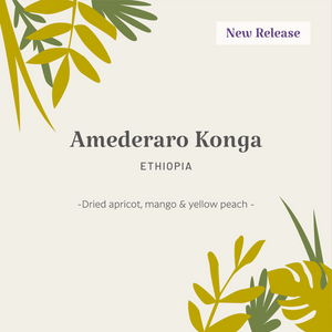 Ethiopia | Amederaro Konga