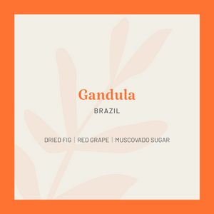 Brazil | Gandula