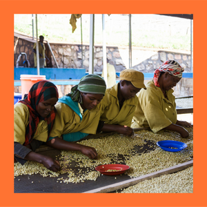 Rwanda | Sovu Women's Coffee