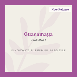 Guatemala | Guacamaya