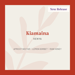 Kenya | Kiamaina