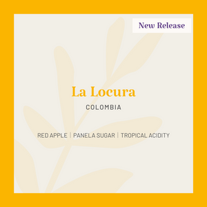 Colombia, La Locura