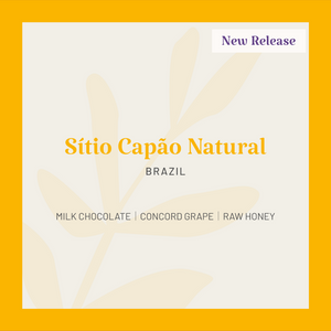Brazil | Sítio Capão Natural