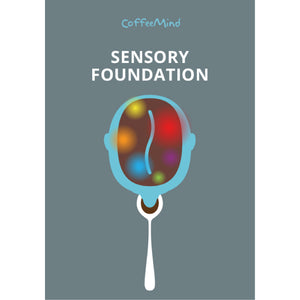 Scanned cover of sensory foundation book